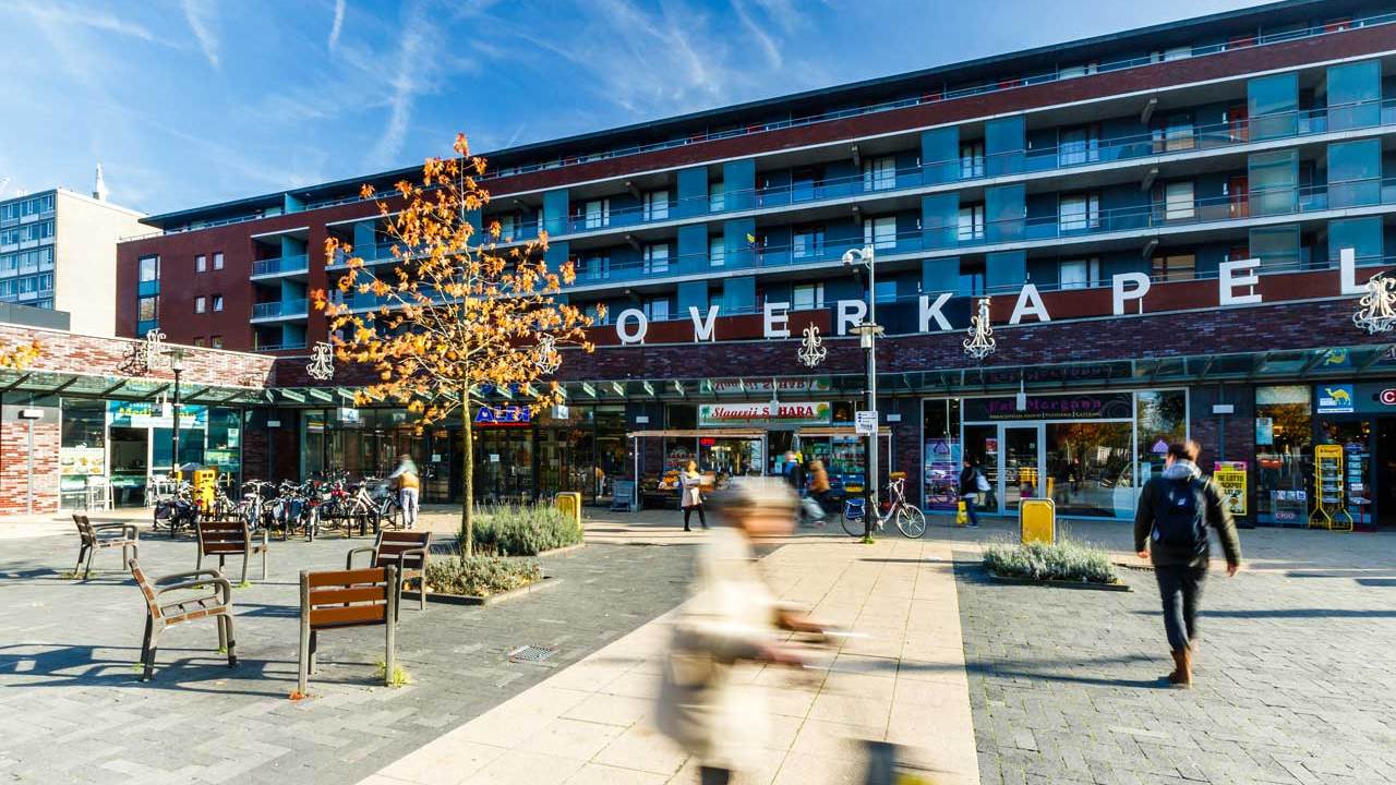 Gerelateerde projecten