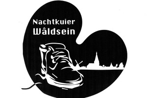 Nibe en VIAC sponsoren gezamenlijk de nachtkuier Wâldsein